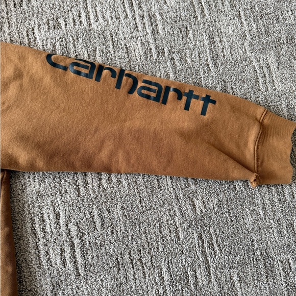 Youth Carhartt Brown Pull-Over Hoodie - Picture 5 of 5